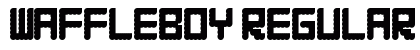 WAFFLEBOY Regular preview