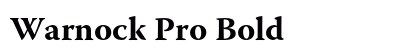 Warnock Pro Bold preview
