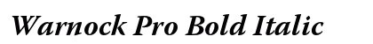 Warnock Pro Bold Italic Preview