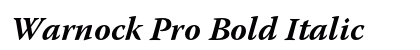 Warnock Pro Bold Italic Preview