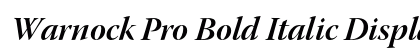 Warnock Pro Bold Italic Display Preview