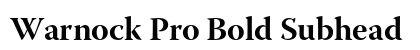 Warnock Pro Bold Subhead Preview