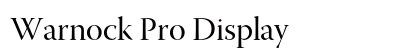 Warnock Pro Display Preview