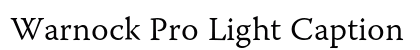 Warnock Pro Light Caption preview
