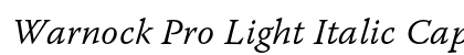 Warnock Pro Light Italic Caption preview