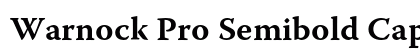 Warnock Pro Semibold Caption Preview