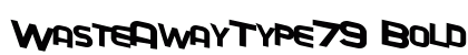 WasteAwayType79 Bold preview