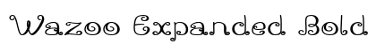 Wazoo Expanded Bold Preview