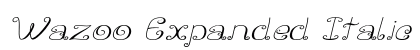 Wazoo Expanded Italic Preview