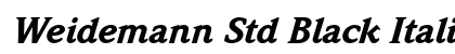 Weidemann Std Black Italic Preview