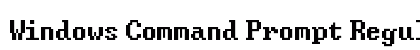 Windows Command Prompt Regular preview