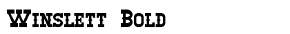 Winslett Bold preview