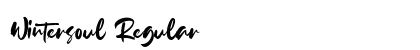 Wintersoul Regular preview