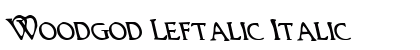 Woodgod Leftalic Italic preview
