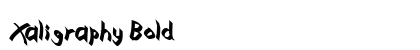 Xaligraphy Bold preview