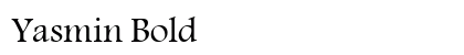 Yasmin Bold preview