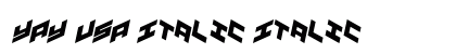 YAY USA Italic Italic preview