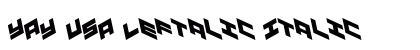 YAY USA Leftalic Italic preview