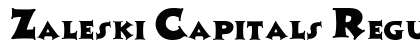 Zaleski Capitals Regular preview