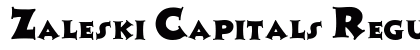 Zaleski Capitals Regular preview