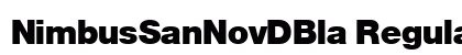 NimbusSanNovDBla Regular preview