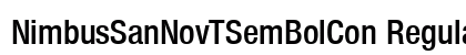 NimbusSanNovTSemBolCon Regular preview