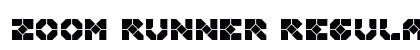 Zoom Runner Regular preview