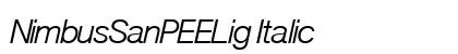 NimbusSanPEELig Italic preview