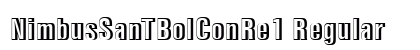 NimbusSanTBolConRe1 Regular preview