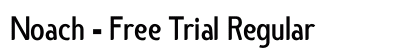 Noach - Free Trial Regular preview
