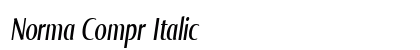 Norma Compr Italic preview