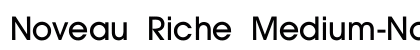 Noveau Riche Medium-Normal Regular preview