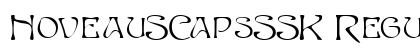 NoveauSCapsSSK Regular preview