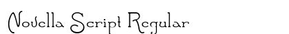 Novella Script Regular preview