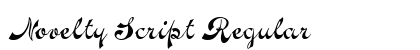 Novelty Script Regular preview