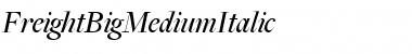 Download FreightBigMediumItalic Font