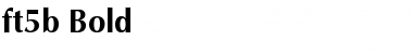 ft5b Bold Font
