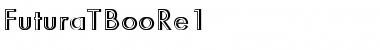 FuturaTBooRe1 Regular Font