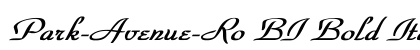 Park-Avenue-Ro BI Bold Italic