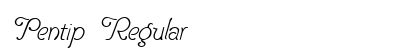 Pentip Regular preview