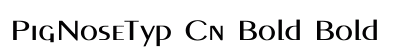 PigNoseTyp Cn Bold Bold preview