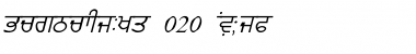 Download GurmukhiLys 020 Font