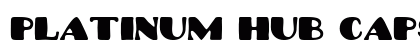 Platinum Hub Caps Solid Regular preview