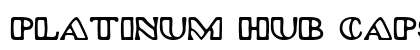 Platinum Hub Caps Regular preview