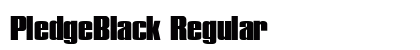 PledgeBlack Regular preview