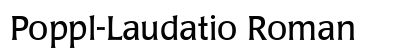 Poppl-Laudatio Roman Preview