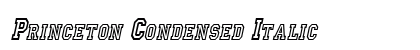 Princeton Condensed Italic Preview