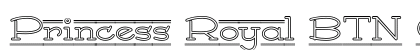 Princess Royal BTN Outline Regular preview