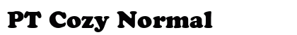 PT Cozy Normal