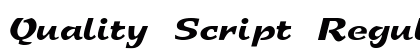 Quality Script Regular preview